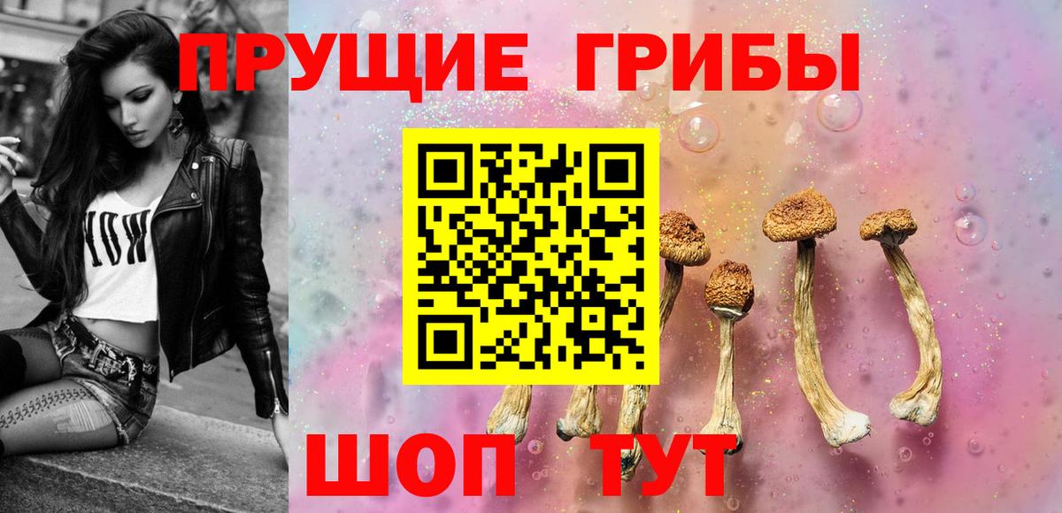Псилоцибиновые грибы MAGIC MUSHROOMS  Вход с VPN  Волгодонск  Галлюциногенные грибы GOLDEN TEACHER 
